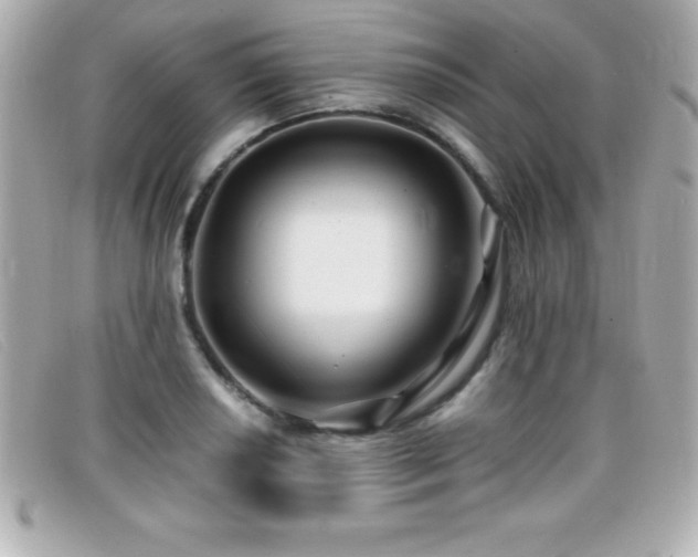 X0000099471034200805091543