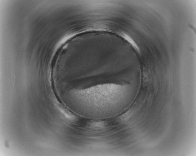 X0000099471035200805091543