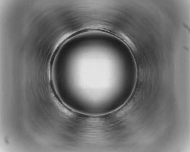 X0000099471036200805091543