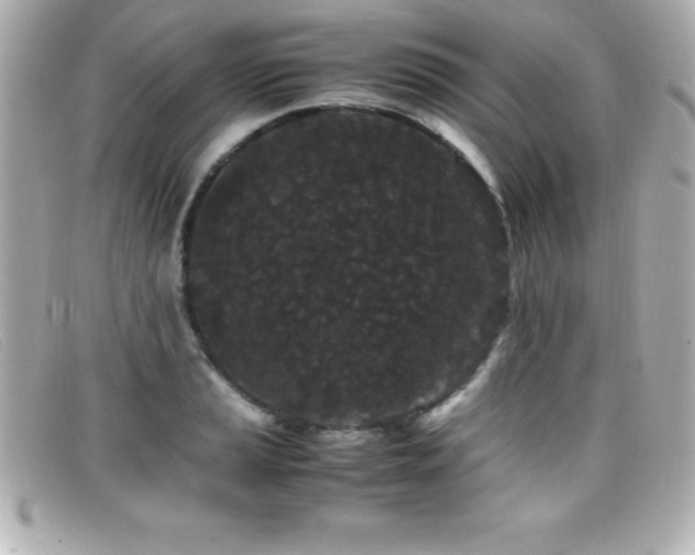 X0000099471037200805091543