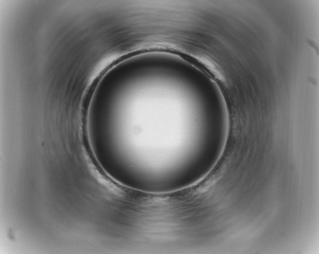 X0000099471038200805091543
