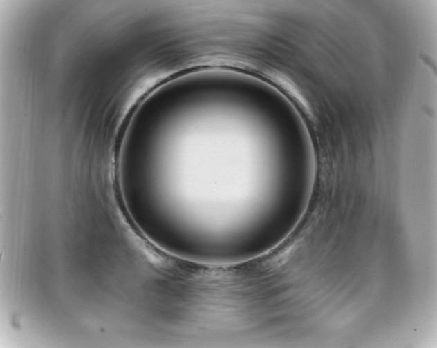 X0000099471040200805091543