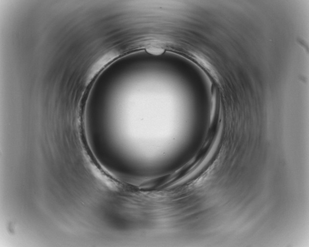 X0000099471042200805091543