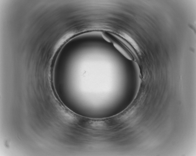 X0000099471043200805091543
