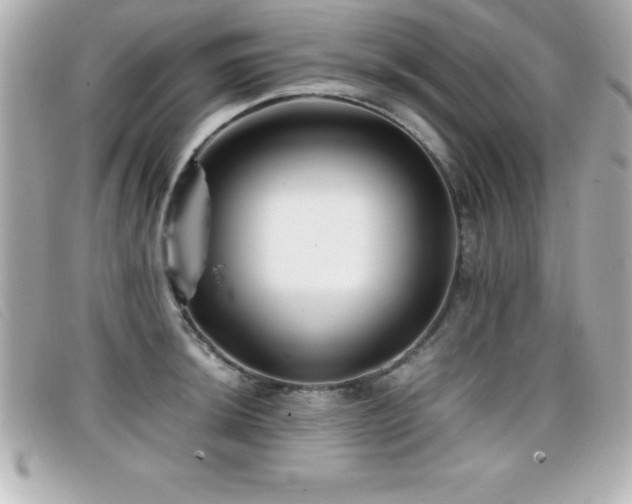 X0000099471044200805091543