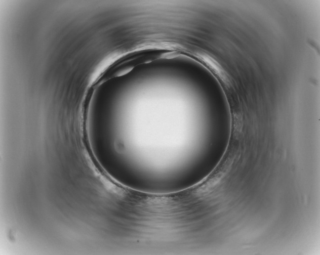 X0000099471046200805091543