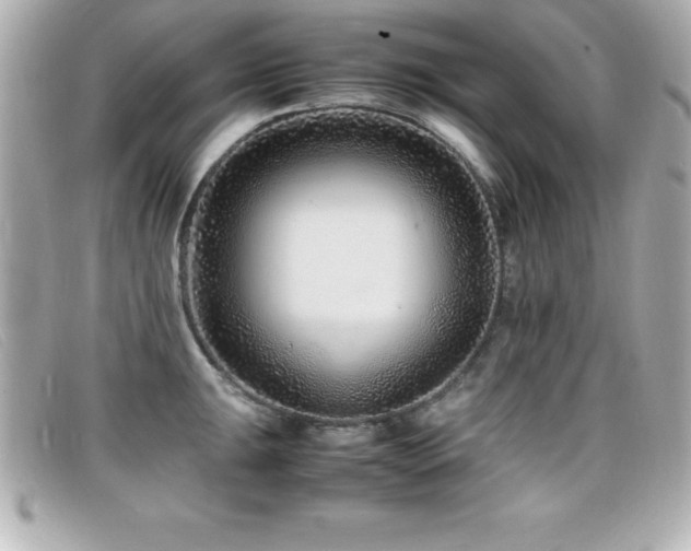X0000099471047200805091543