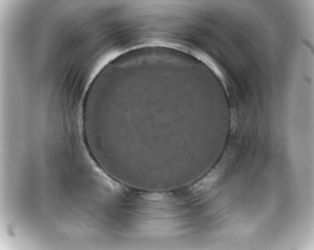 X0000099471048200805091543