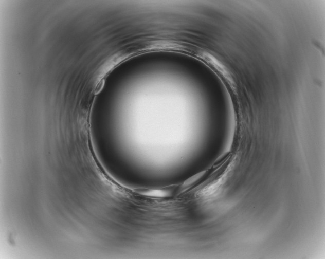 X0000099471049200805091543