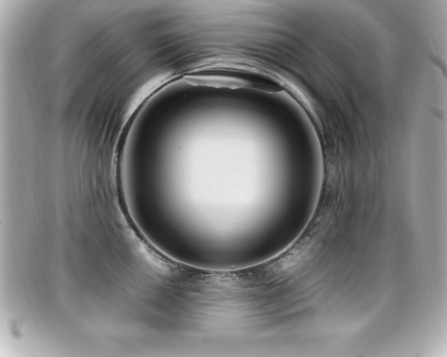 X0000099471050200805091543