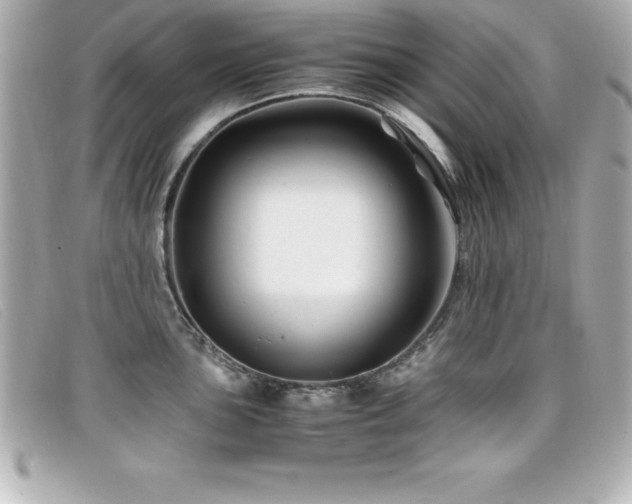 X0000099471051200805091543