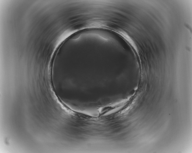 X0000099471053200805091543