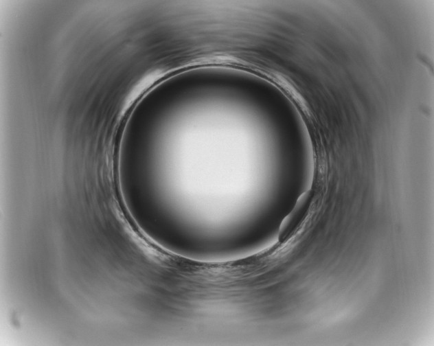 X0000099471054200805091543