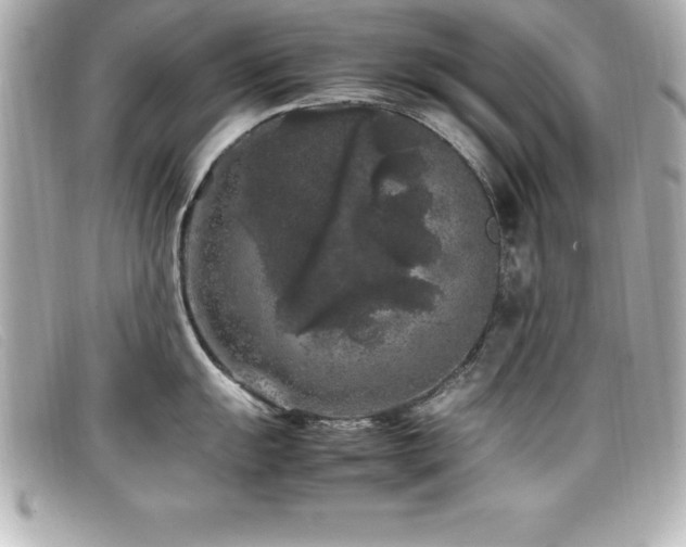 X0000099471055200805091543
