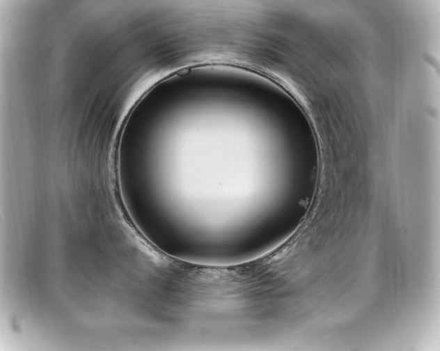X0000099471056200805091543