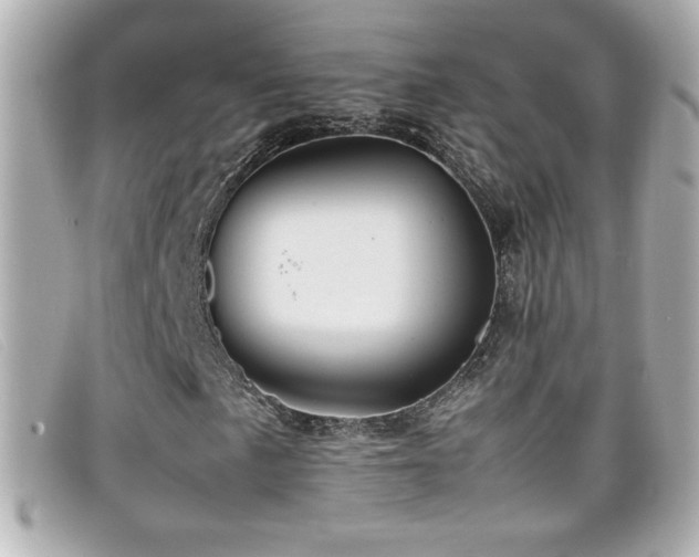 X0000099471057200805091542