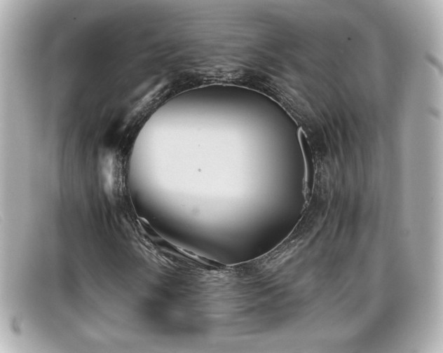 X0000099471058200805091542