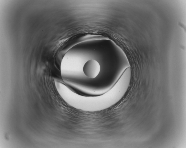 X0000099471059200805091542