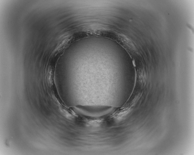 X0000099471060200805091542