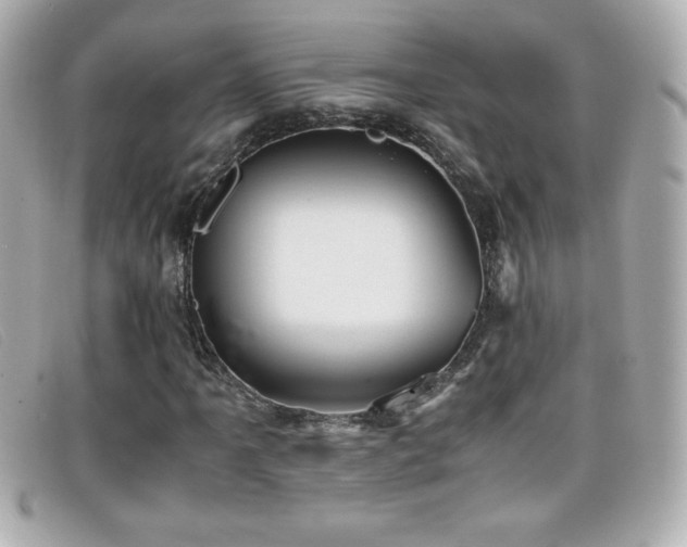 X0000099471061200805091542