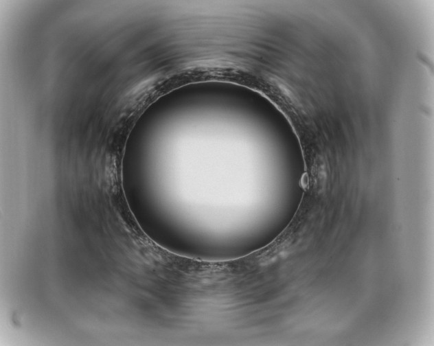 X0000099471062200805091542