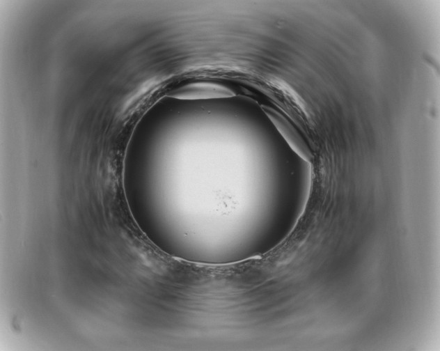 X0000099471064200805091542