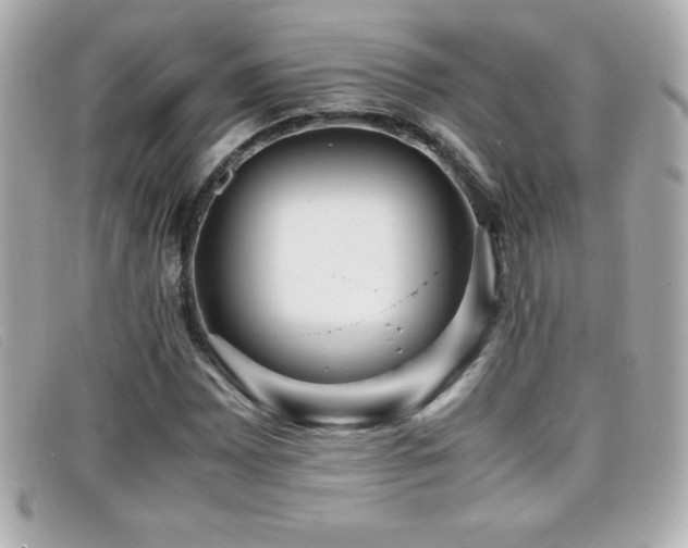X0000099471065200805091542