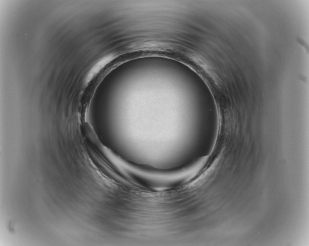 X0000099471066200805091542