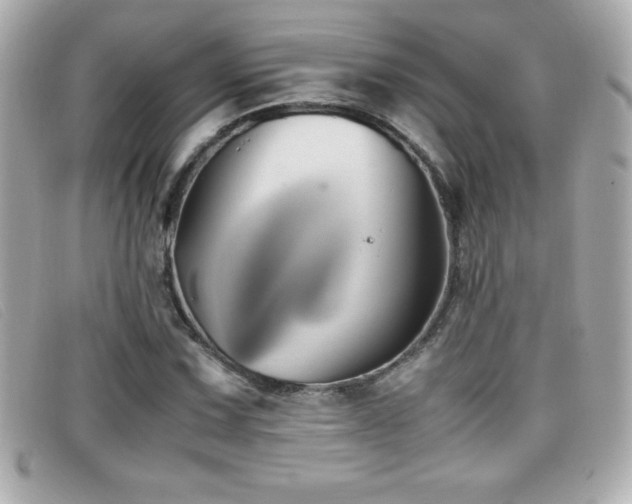 X0000099471067200805091542