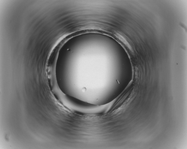 X0000099471068200805091542