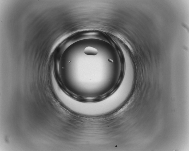 X0000099471069200805091542
