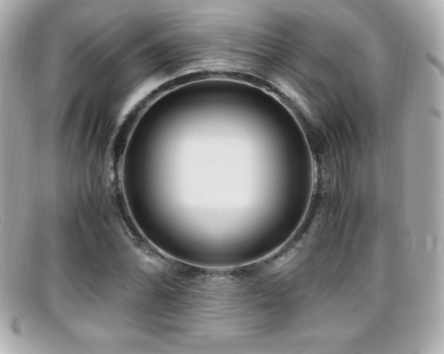 X0000099471070200805091542