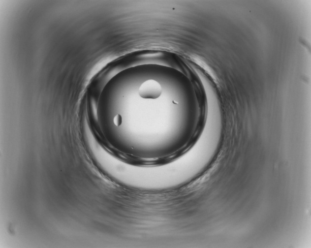 X0000099471071200805091542