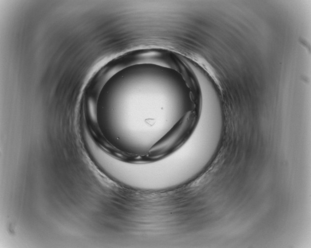X0000099471072200805091542