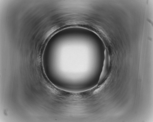 X0000099471073200805091542