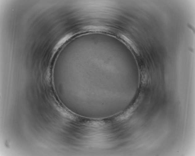 X0000099471074200805091542