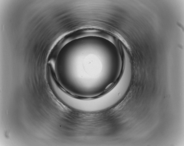 X0000099471076200805091542