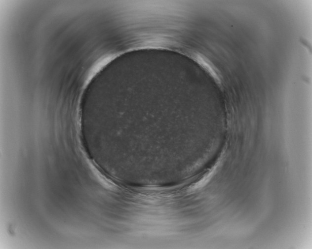 X0000099471077200805091542
