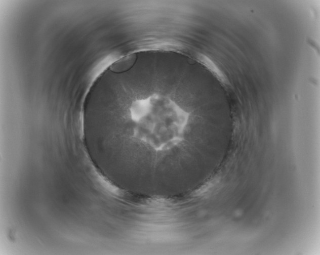 X0000099471079200805091542