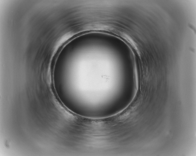 X0000099471080200805091542