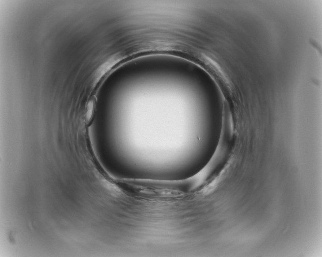 X0000099471081200805091542