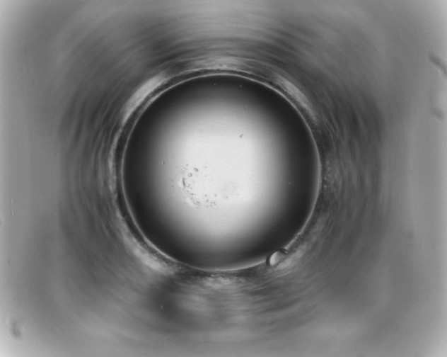 X0000099471082200805091542