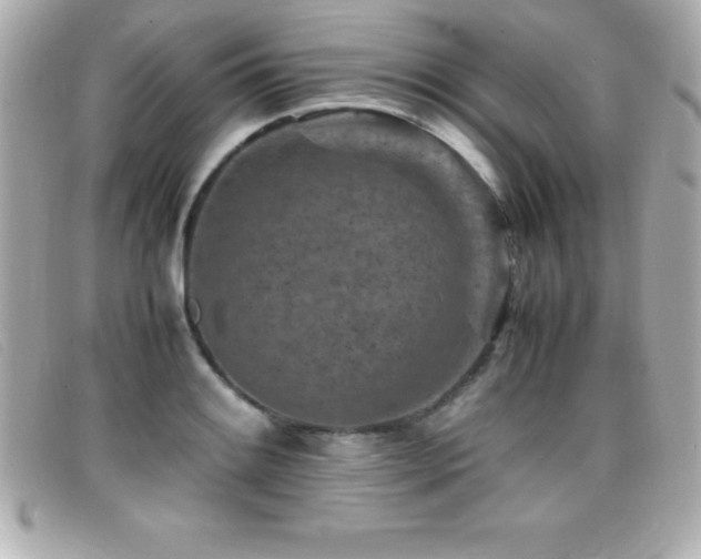 X0000099471084200805091542