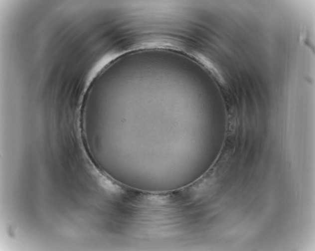 X0000099471086200805091542