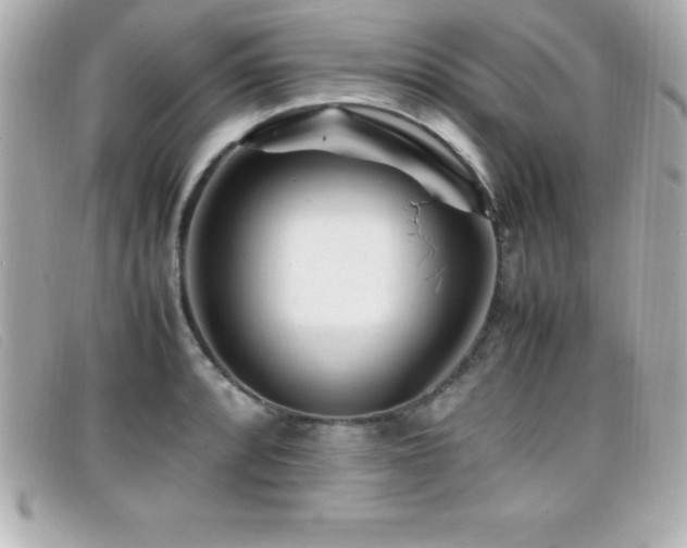 X0000099471088200805091542