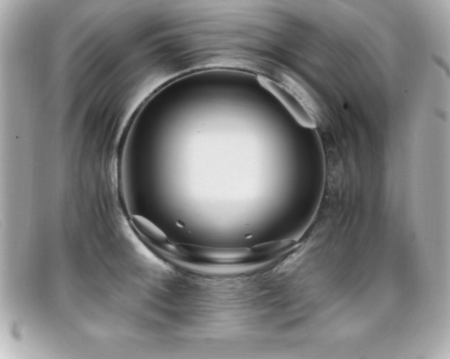 X0000099471092200805091542