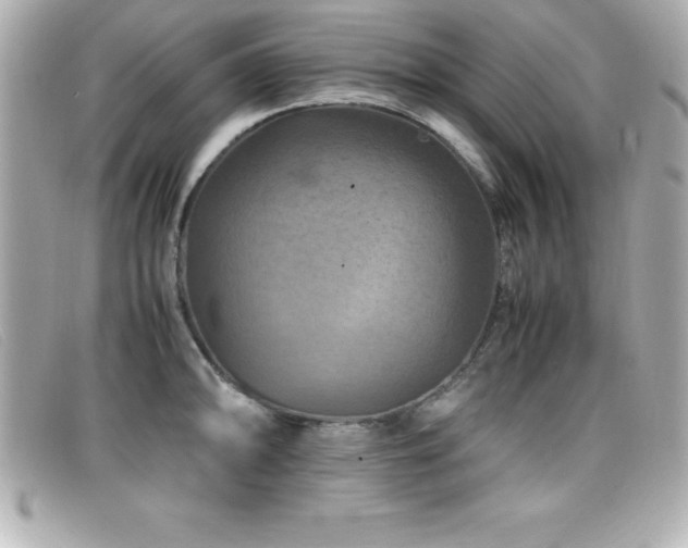 X0000099471094200805091542