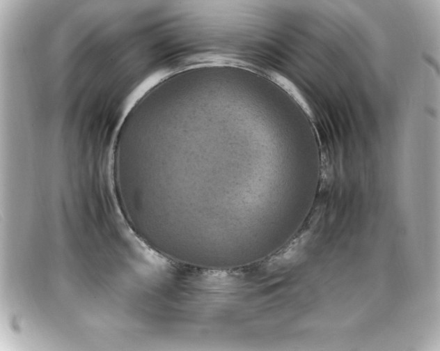 X0000099471098200805091542