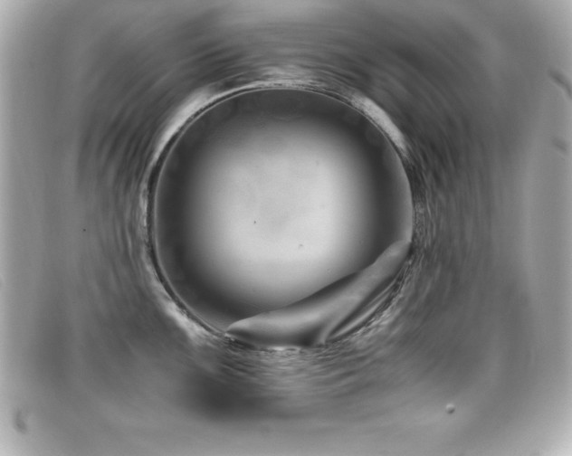X0000099471099200805091542