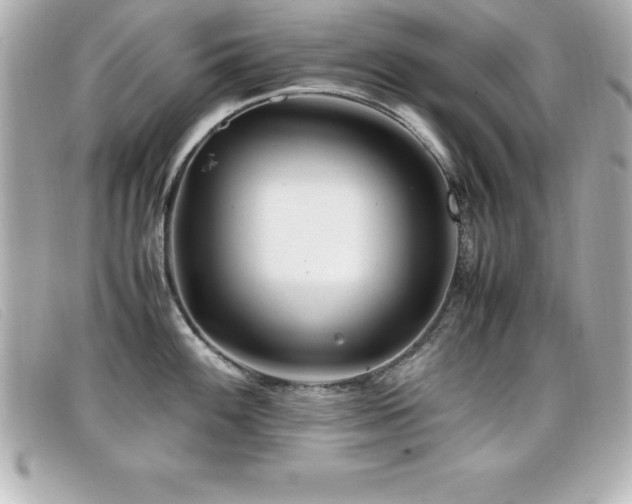 X0000099471100200805091542